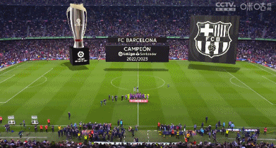 恩昆库转战意甲后表现低迷，转会费3700万欧元成“水漂”，难复巅峰状态。